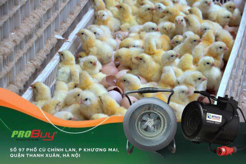 Giải pháp đột phá cho nuôi ấp trứng gia cầm bằng quạt thổi gió nóng Mitsuta EH‑09