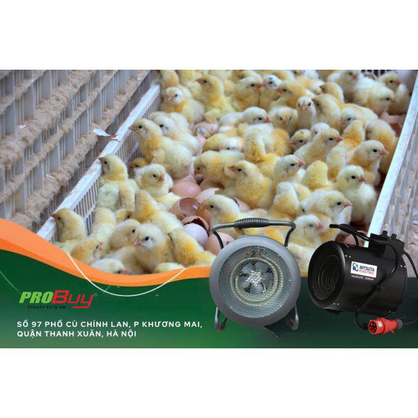 Giải pháp đột phá cho nuôi ấp trứng gia cầm bằng quạt thổi gió nóng Mitsuta EH‑09