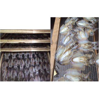 Hệ thống sấy khô hải sản 250 kg 
