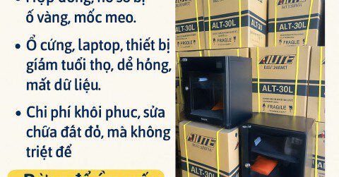 Khó Khăn Với Độ Ẩm Cao Tại Văn Phòng Và Giải Pháp Tủ Chống Ẩm Ailite Tại Probuy