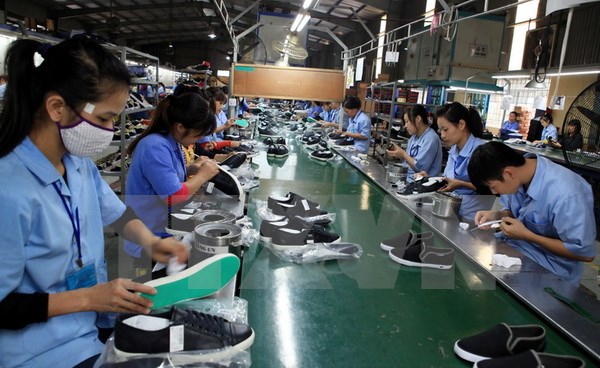 dây chuyền sản xuất giầy dép da tại Việt Nam
